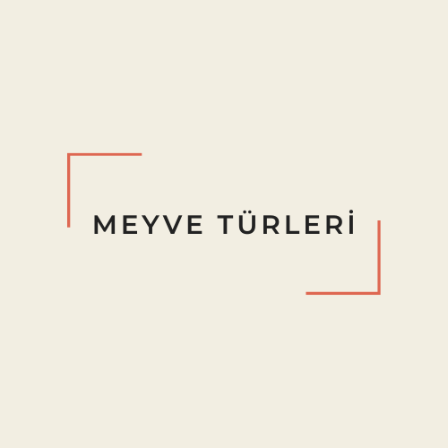 MEYVE TÜRLERİ