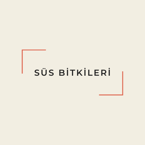 SÜS BİTKİLERİ